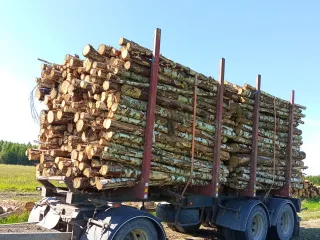 http://pērku%20pie%20ceļa%20apaļkokus%20image
